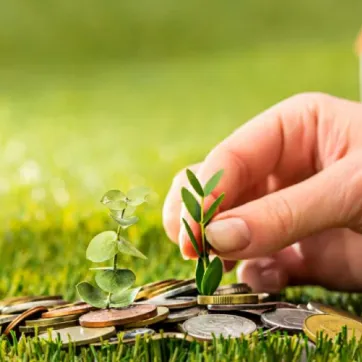 دليل أنواع الأراضي الصالحة للاستثمار في السعودية